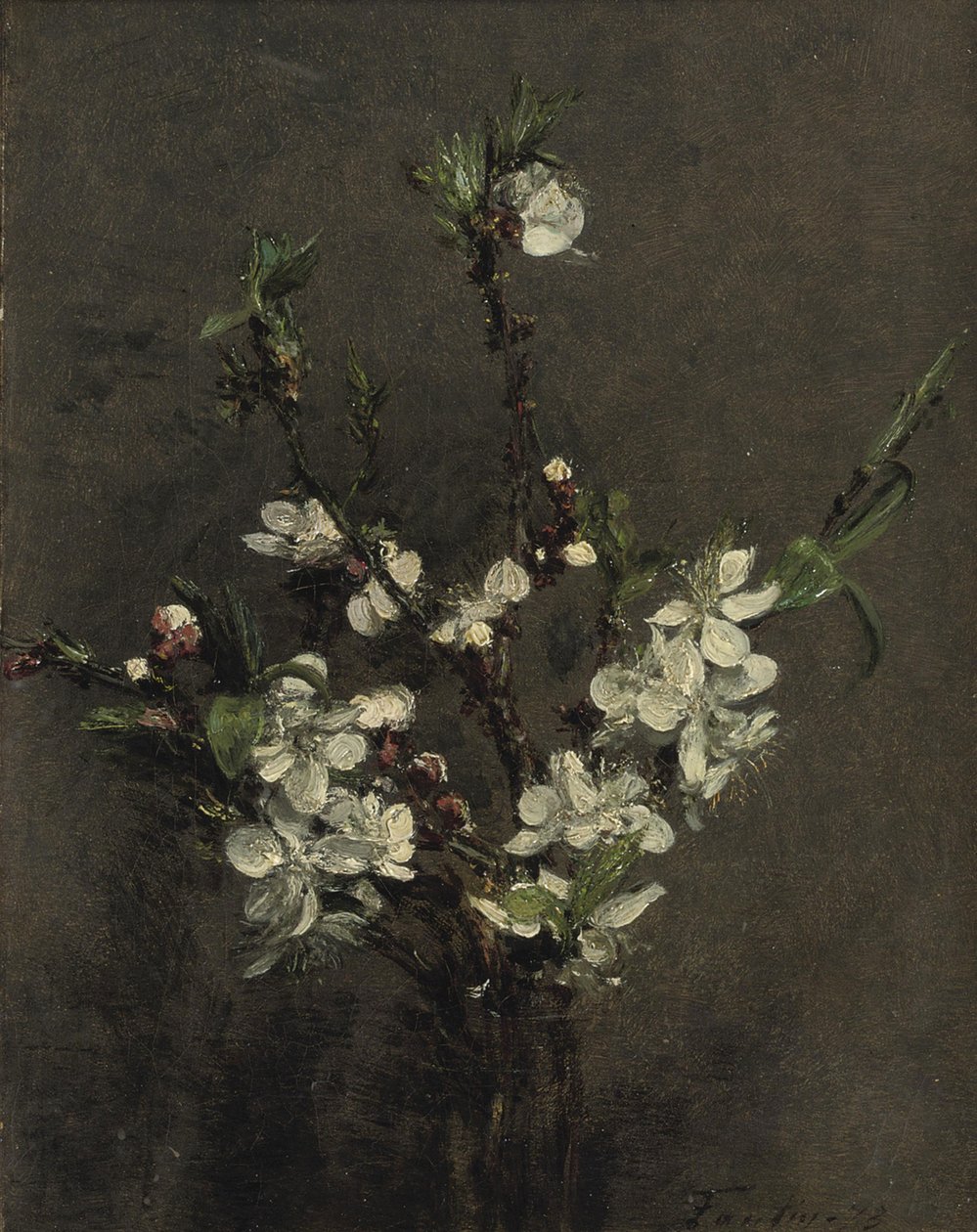 Frugttræets blomster af Ignace Henri Jean Fantin Latour