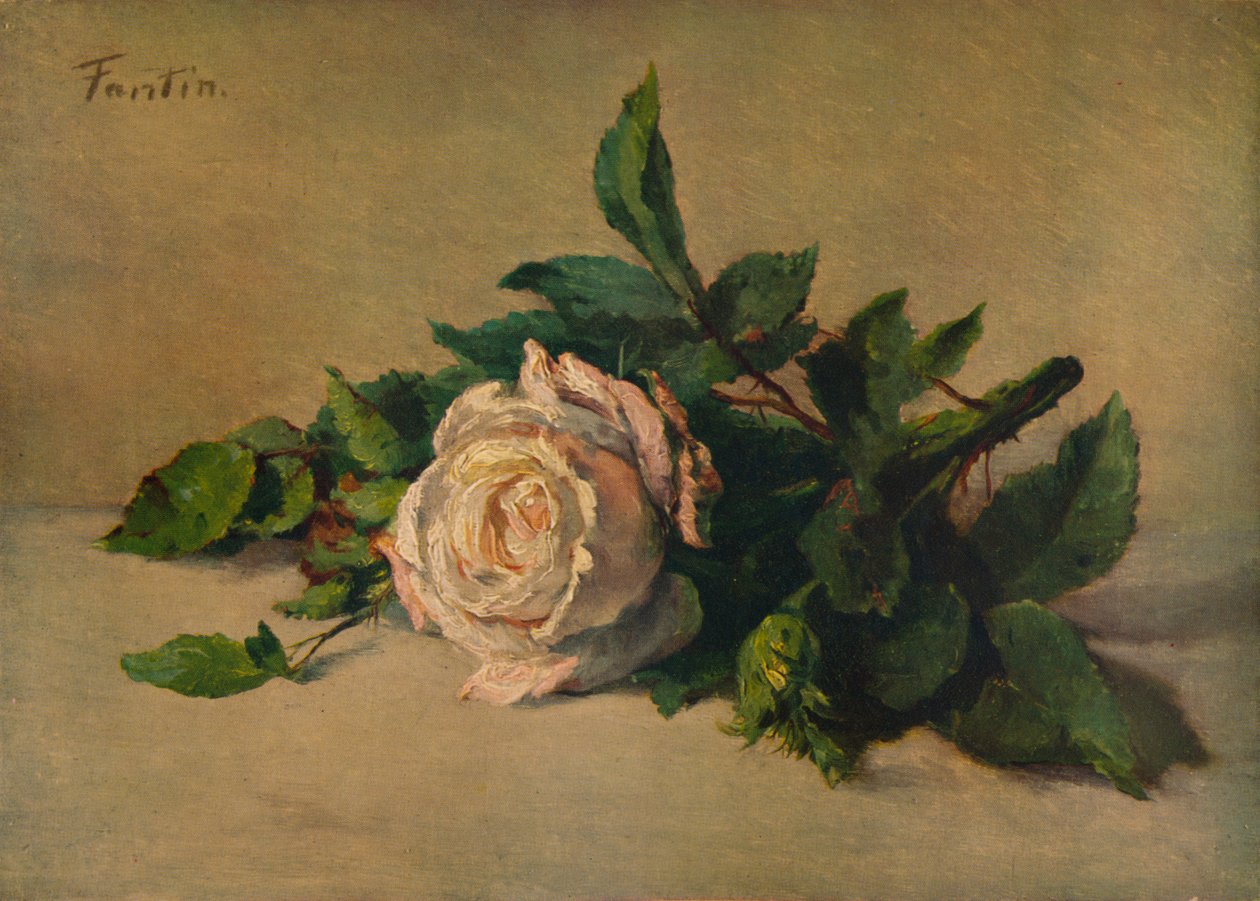 Hvid rose, c1863, 1938 af Ignace Henri Jean Fantin Latour