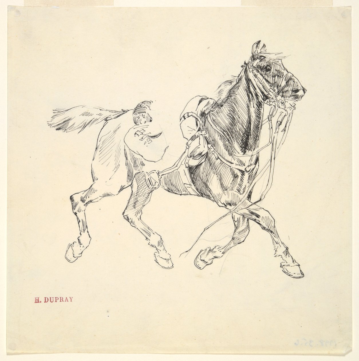 Militær hest af Henri Louis Dupray