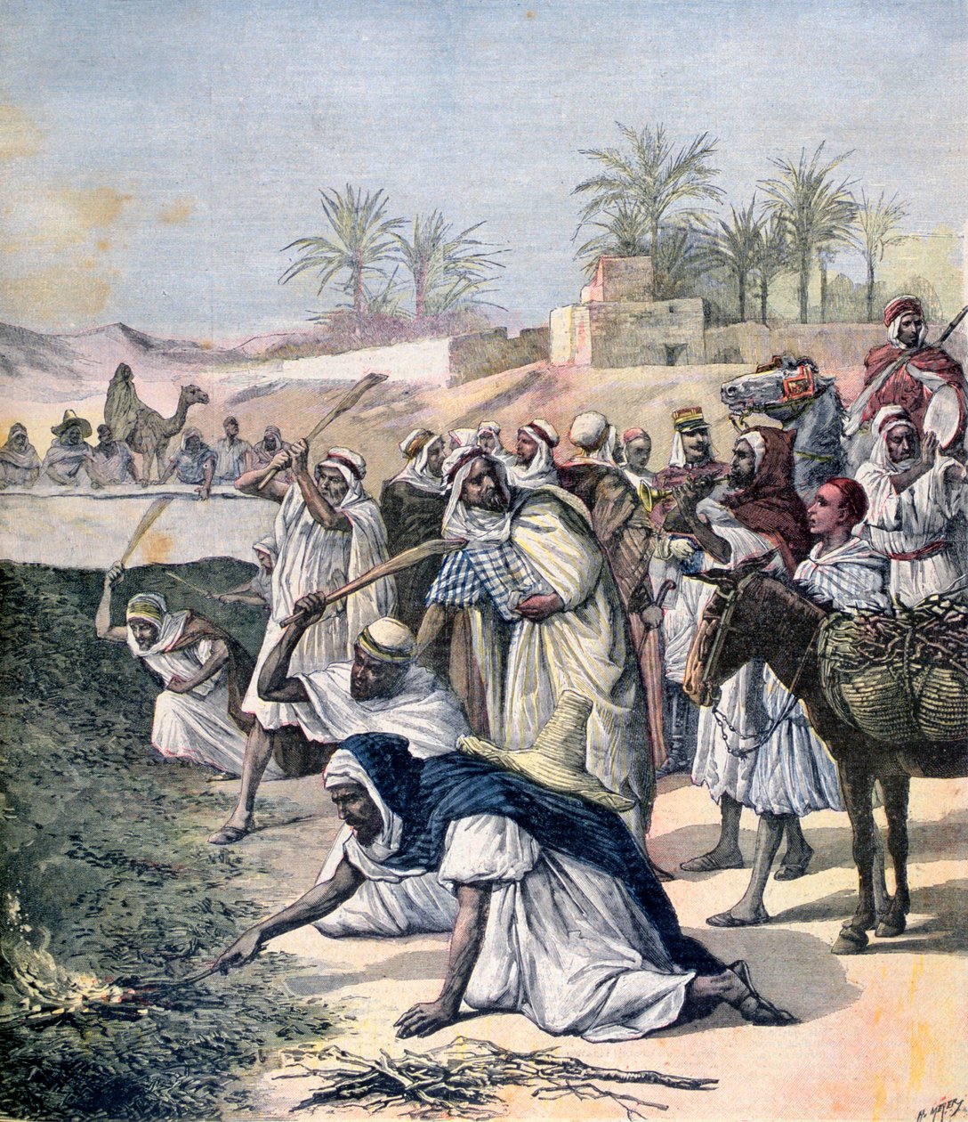 Græshoppeplagen, Algeriet, 1891 af Henri Meyer