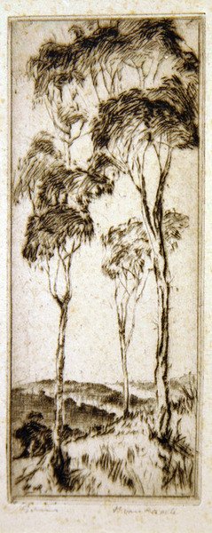 Gummitræer (ætsning) af Henri van Raalte