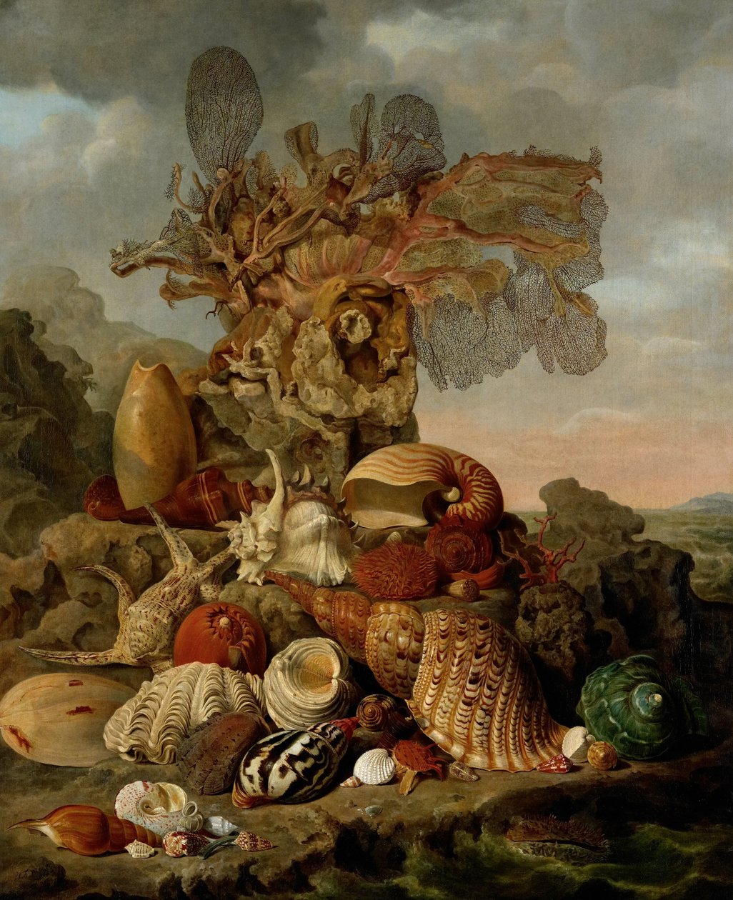Skaller og havplanter af Henricus Franciscus Wiertz
