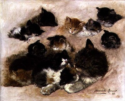 Undersøgelse af katte og killinger af Henriëtte Ronner Knip