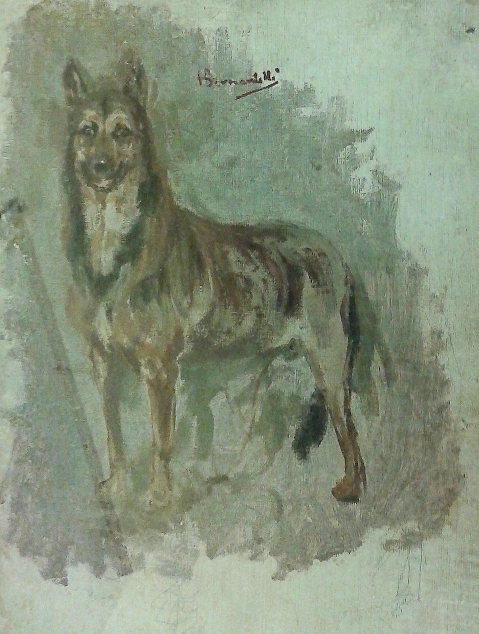 Undersøgelse af et dyr [hund] af Henrique Bernardelli