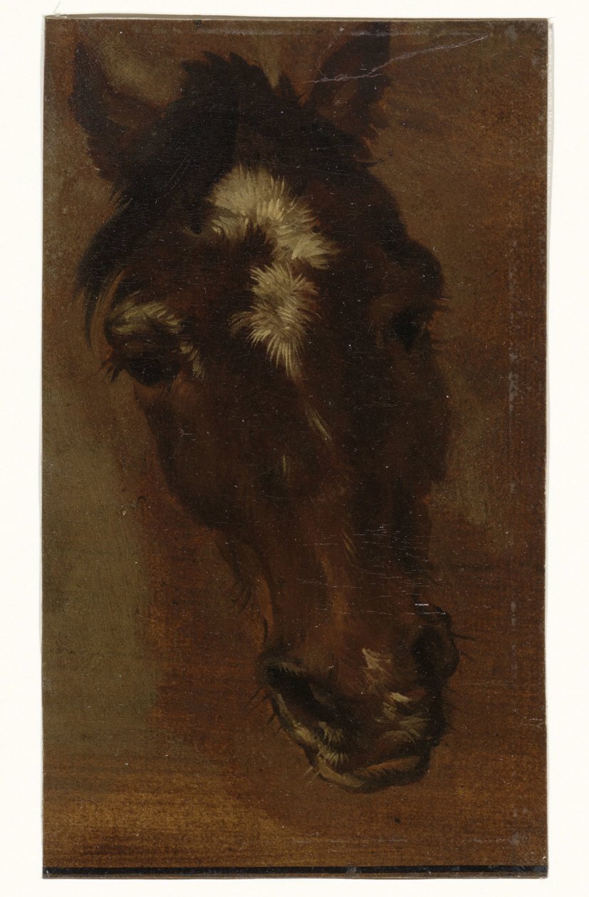 hestehoved af Henriëtte Ronner