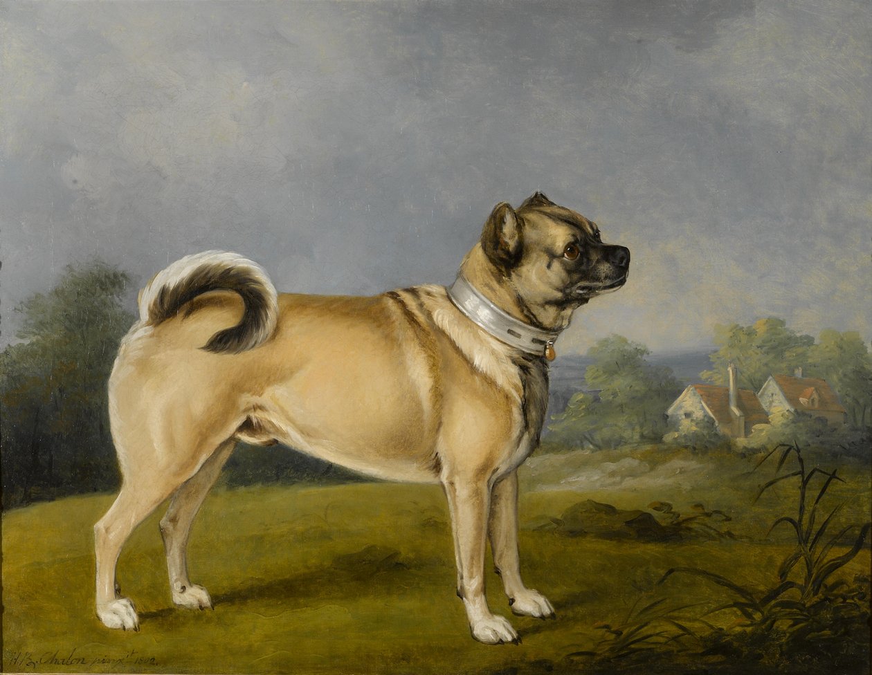 En yndlings mops af Henry Bernard Chalon