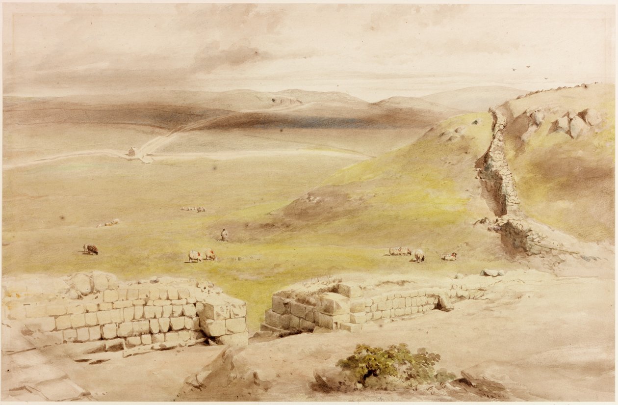 Cawfields (kropsfarve) af Henry Burdon Richardson