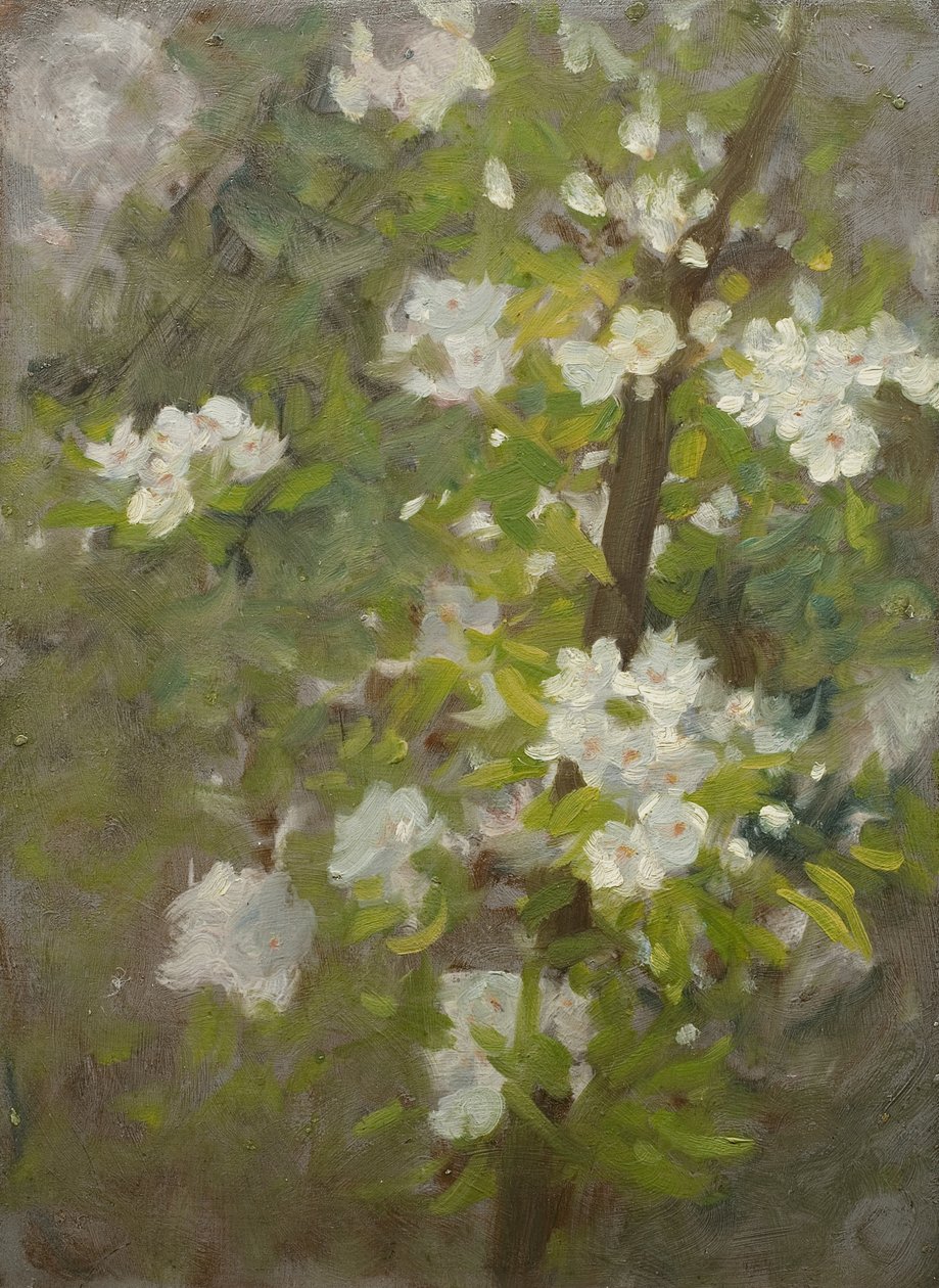 Hvid Blomst af Henry Scott Tuke