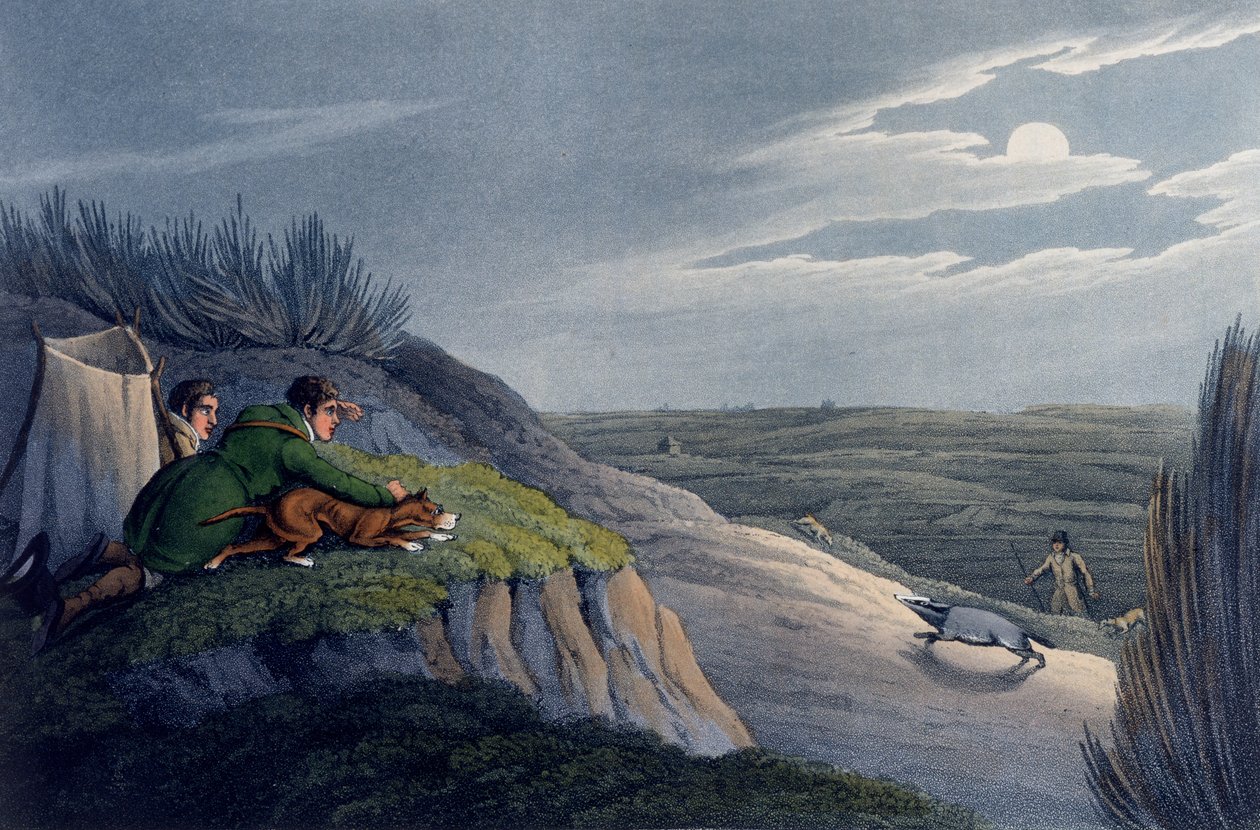 Grævlingefangst, 1820 af Henry Thomas Alken
