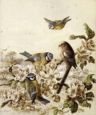 Frugthave røvere af Henry Bright