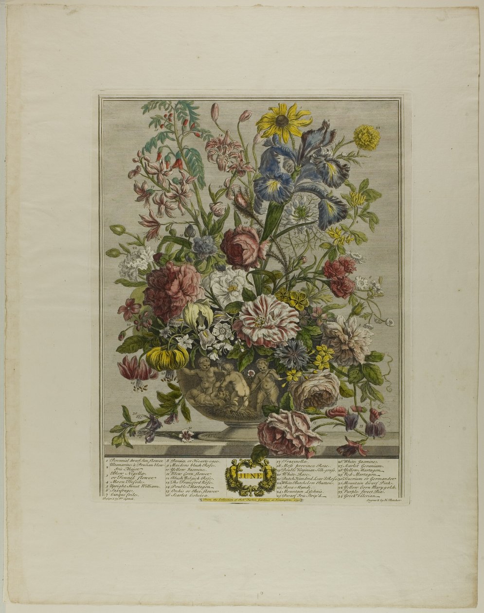 juni, fra Tolv måneder med blomster af Henry Fletcher