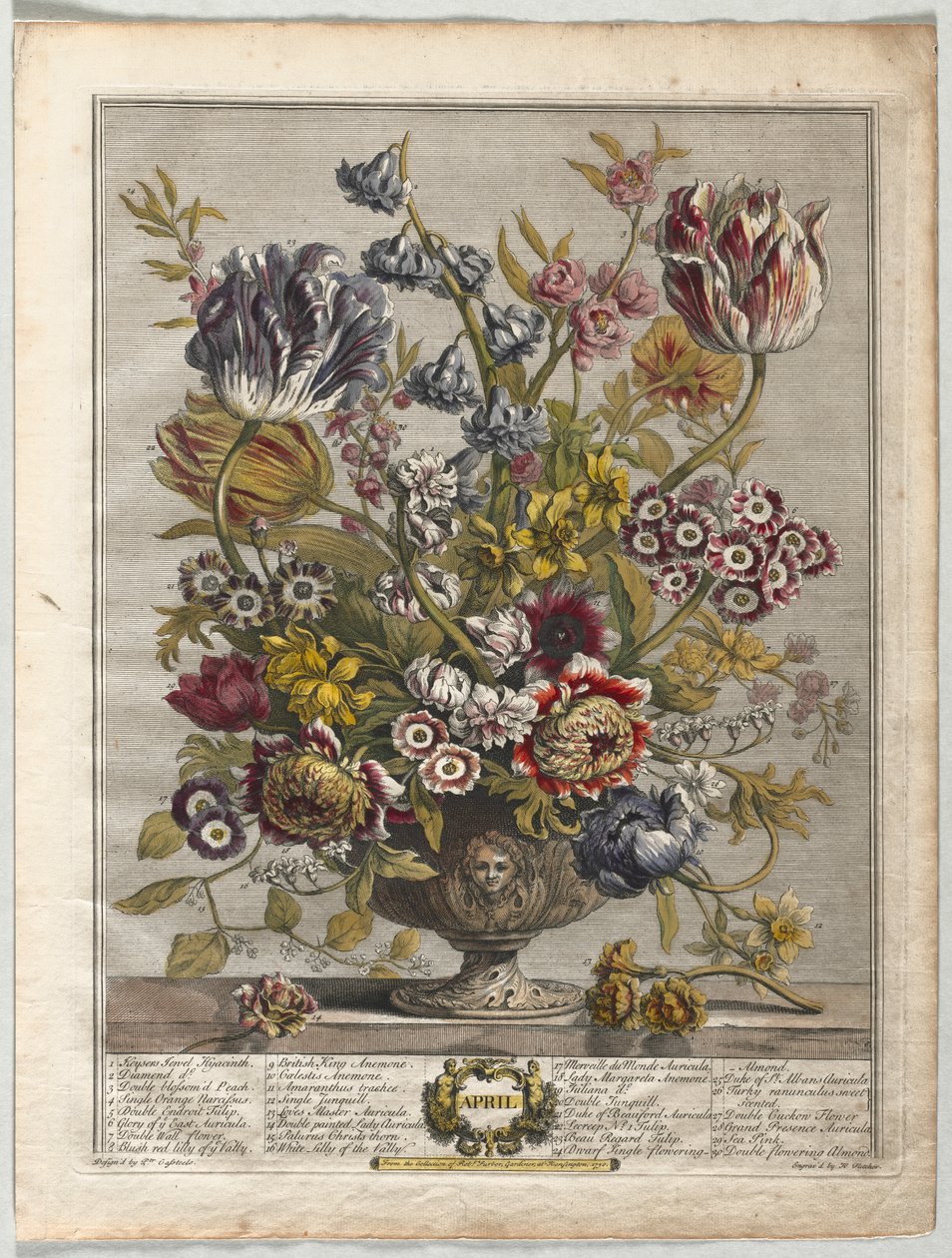 Tolv måneders blomster: april af Henry Fletcher