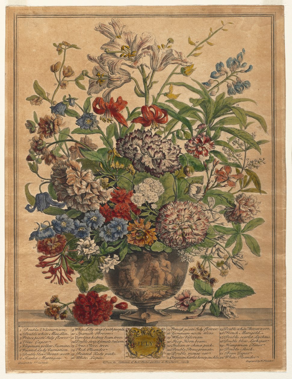 Tolv måneders blomster: juli 1730. af Henry Fletcher