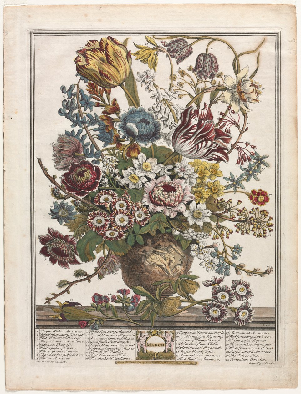 Tolv måneders blomster: marts 1730. af Henry Fletcher
