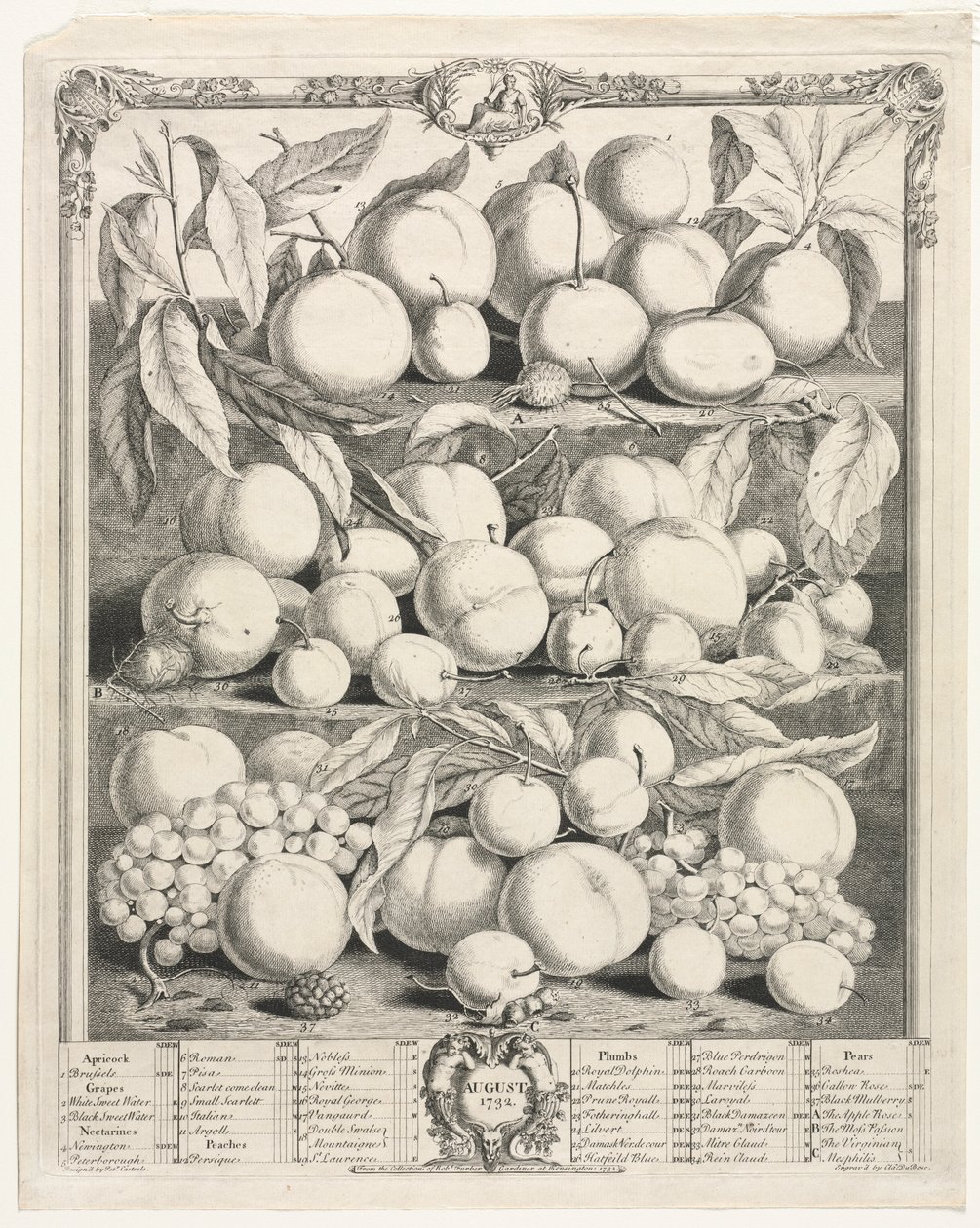 Tolv måneders frugt: august 1732. af Henry Fletcher