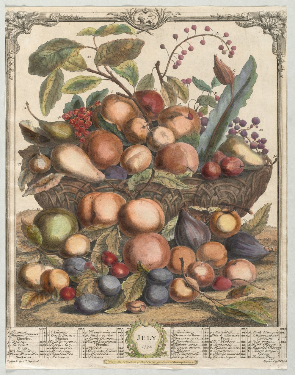 Tolv måneders frugt: juli 1732. af Henry Fletcher