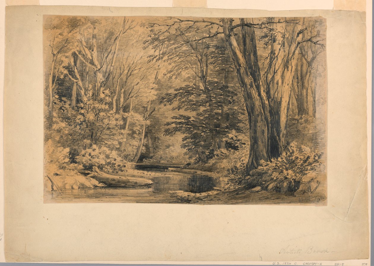 Tegning, En bæk i skoven, 1854 af Henry Hitchings