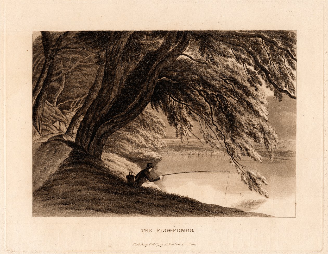 Fiskedammene af Henry Morton