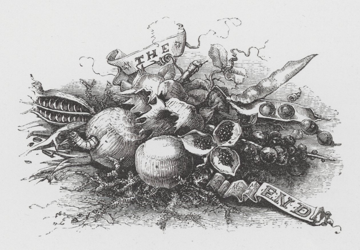 The End (gravering) af Henry Noel Humphreys