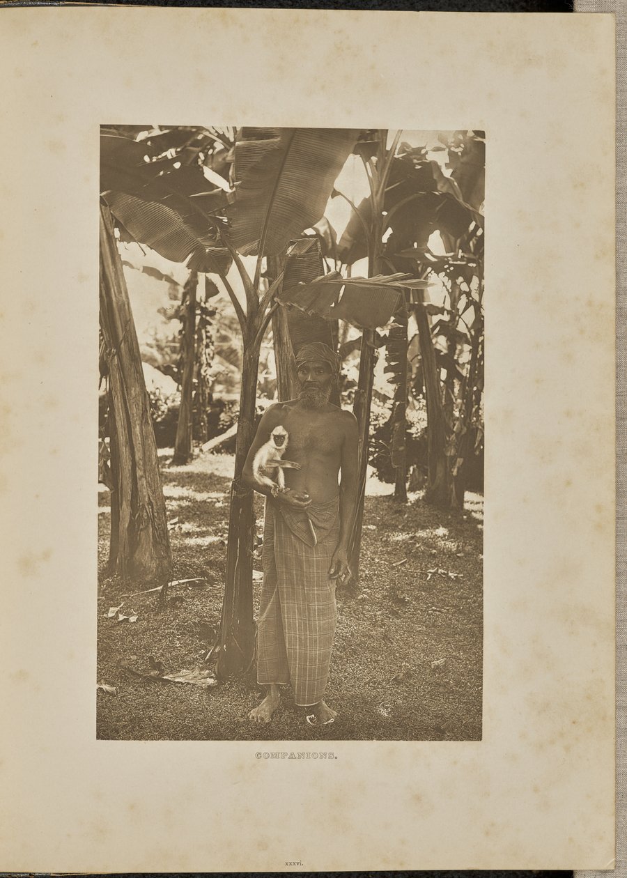 Kammerater af Henry W. Cave