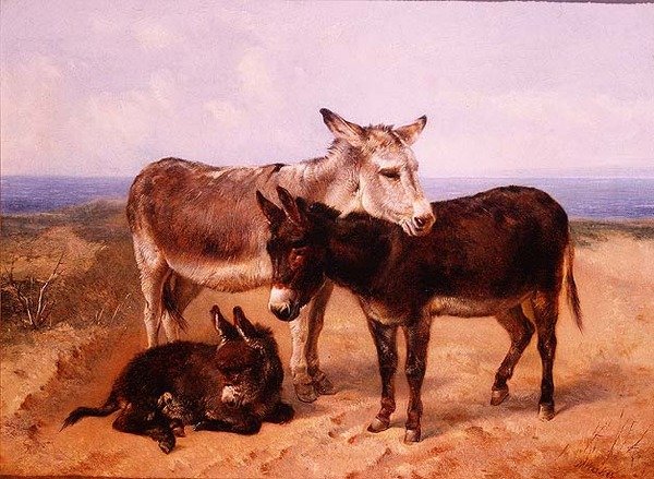 Sand æsler af Henry Weekes