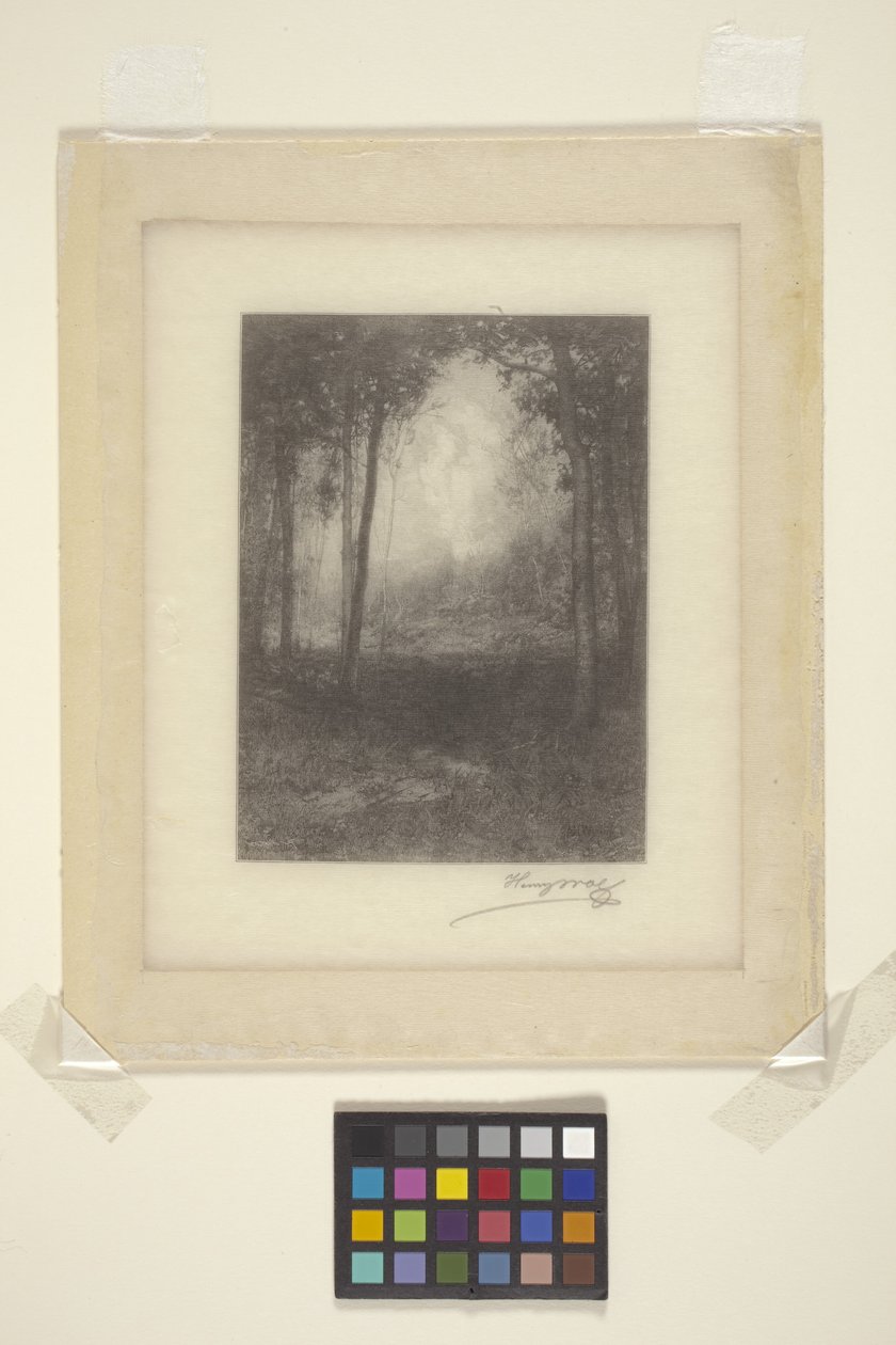 In The Adirondacks (blæk) af Henry Wolf