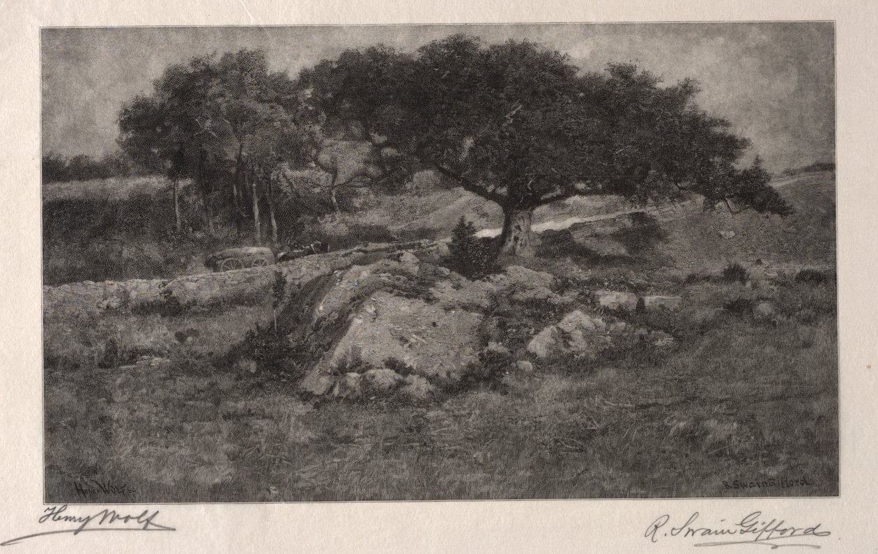 Vejkanten. af Henry Wolf
