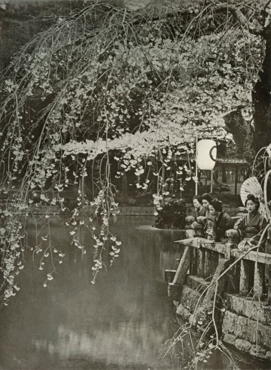 Cherry-Blossom Time i Japan, 1910. af Herbert Ponting
