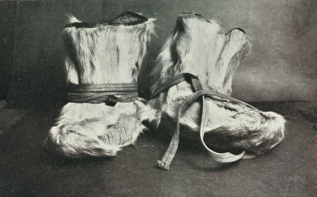 Finnesko, c19101913, 1913. af Herbert Ponting