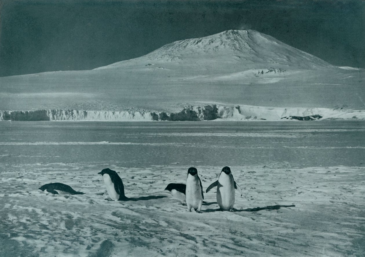 Mount Erebus, c1911, 1913 af Herbert Ponting