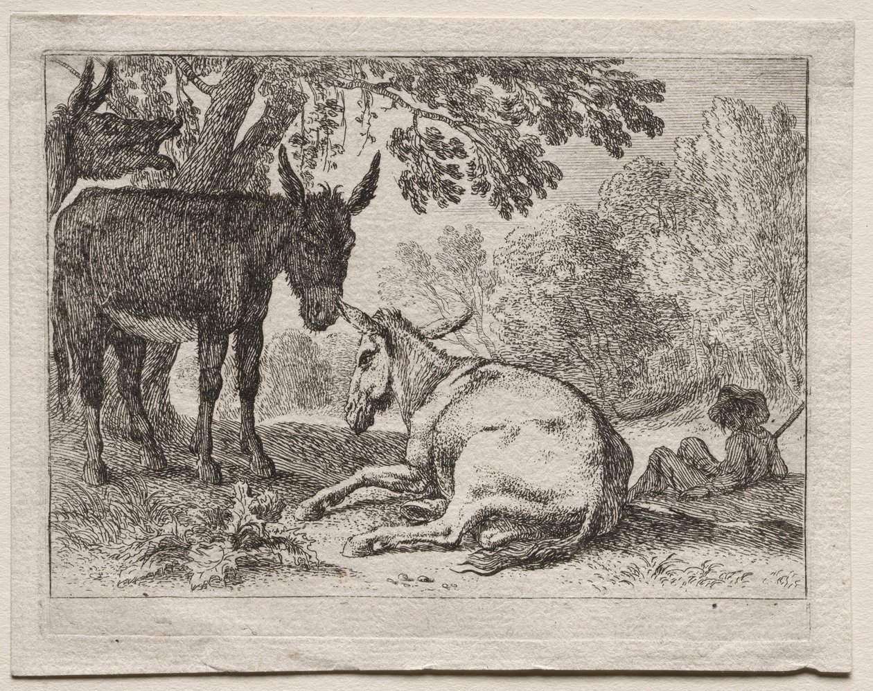 Æsler. af Herman van Swanevelt