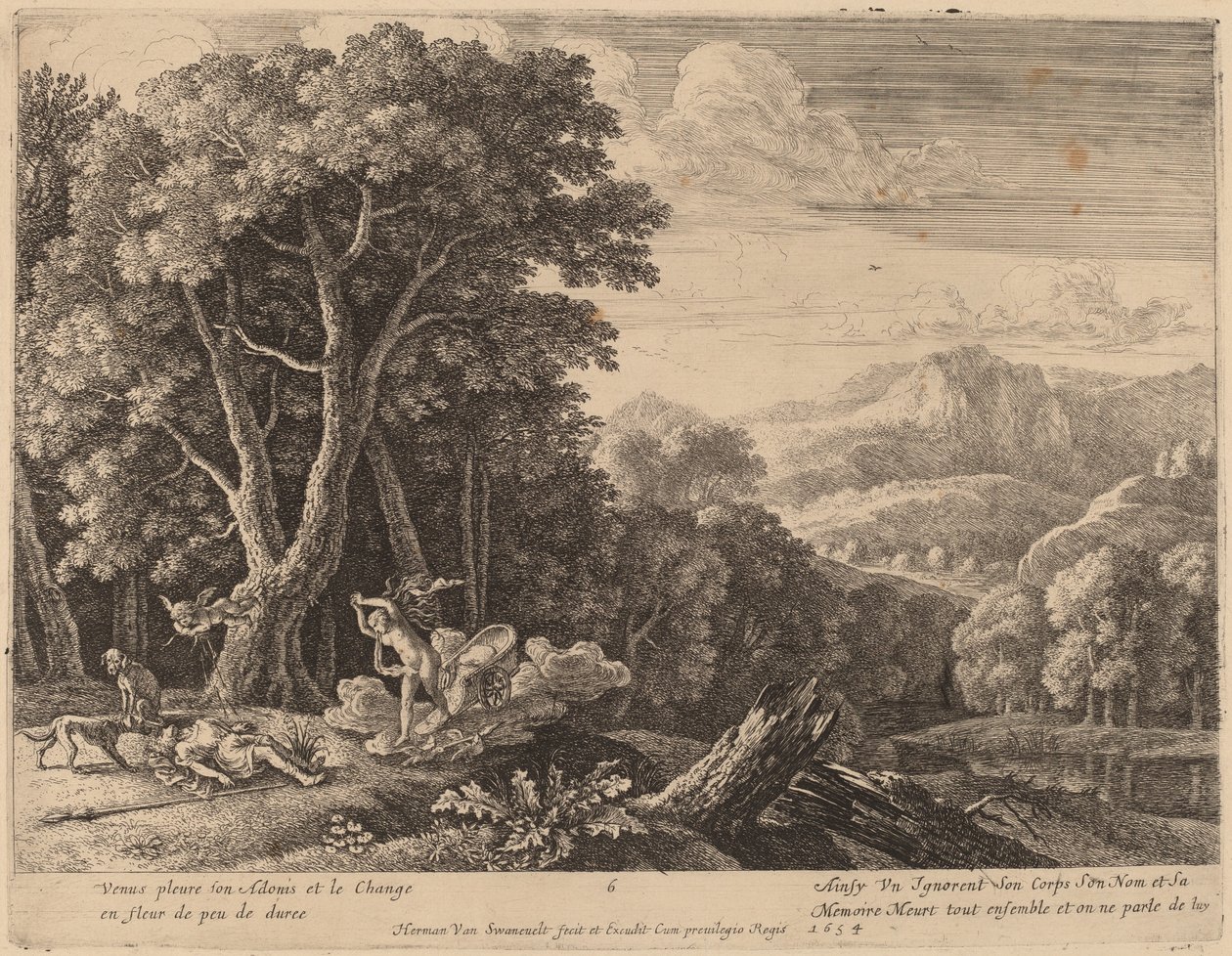 Venus begræder over Adonis