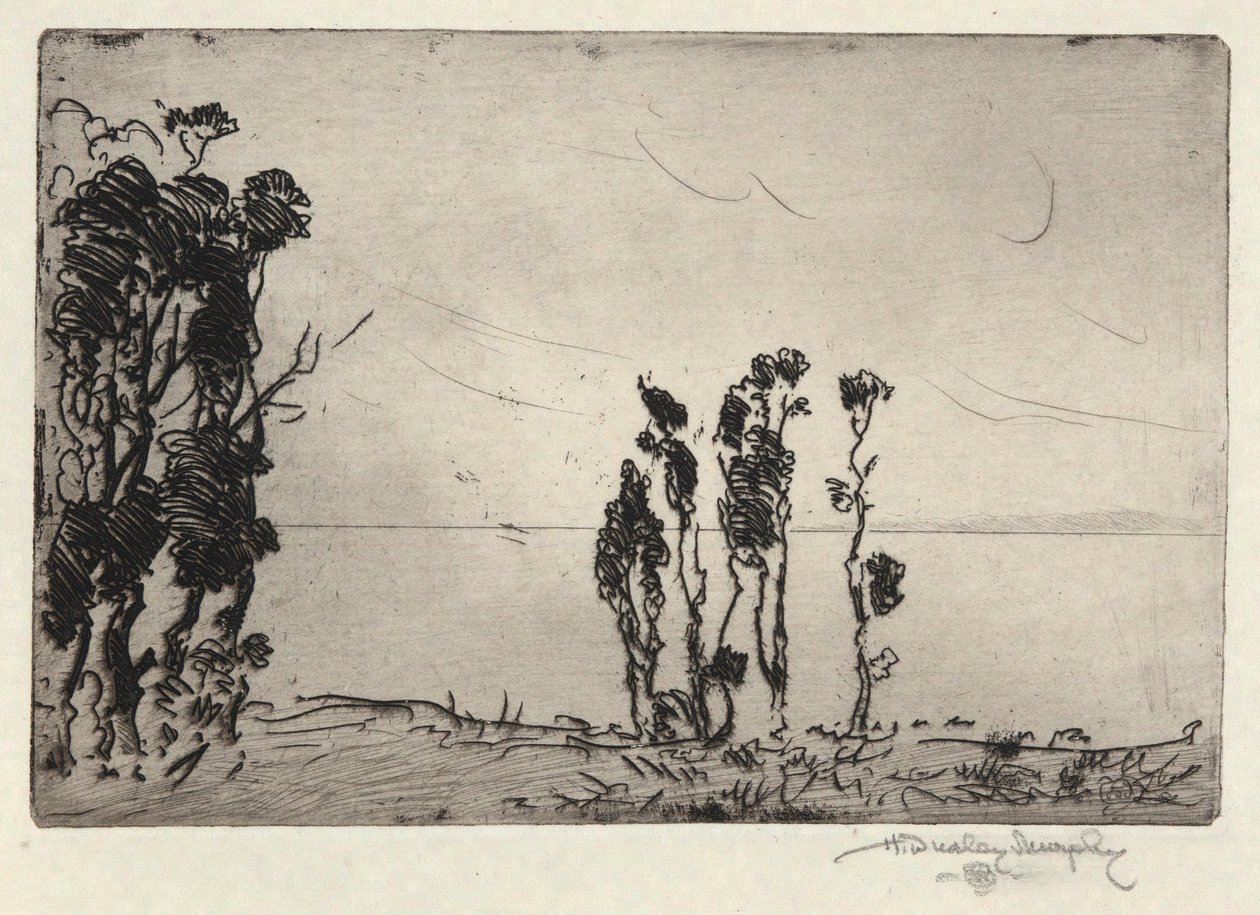 Kystlandskab af Hermann Dudley Murphy