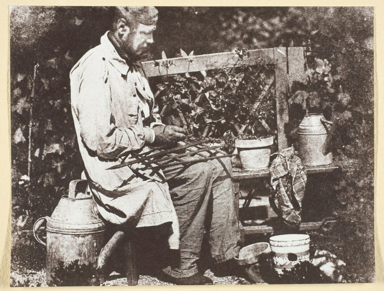 Bayard Jardinier af Hippolyte Bayard