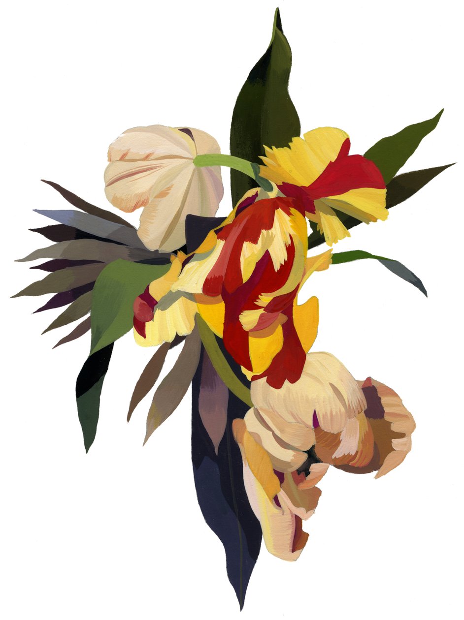 Tulipanpapegøje 3 af Hiroyuki Izutsu