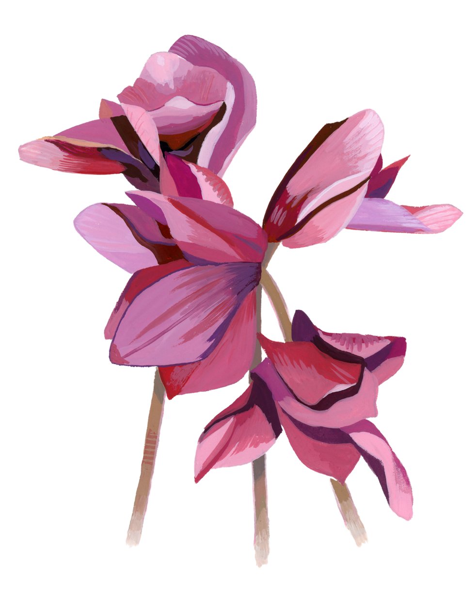 Cyclamen af Hiroyuki Izutsu