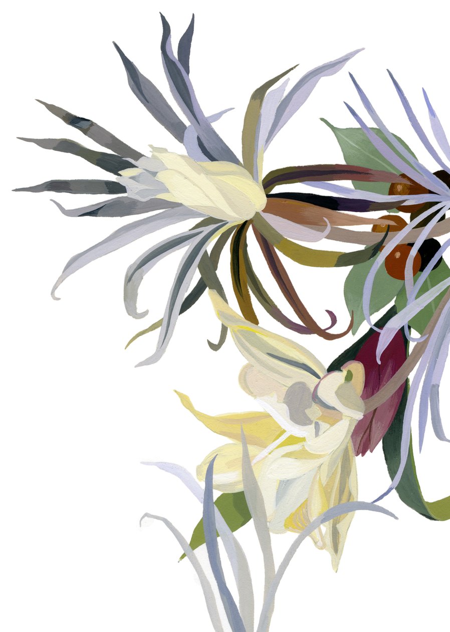 Elegante, skæglignende blomster. af Hiroyuki Izutsu