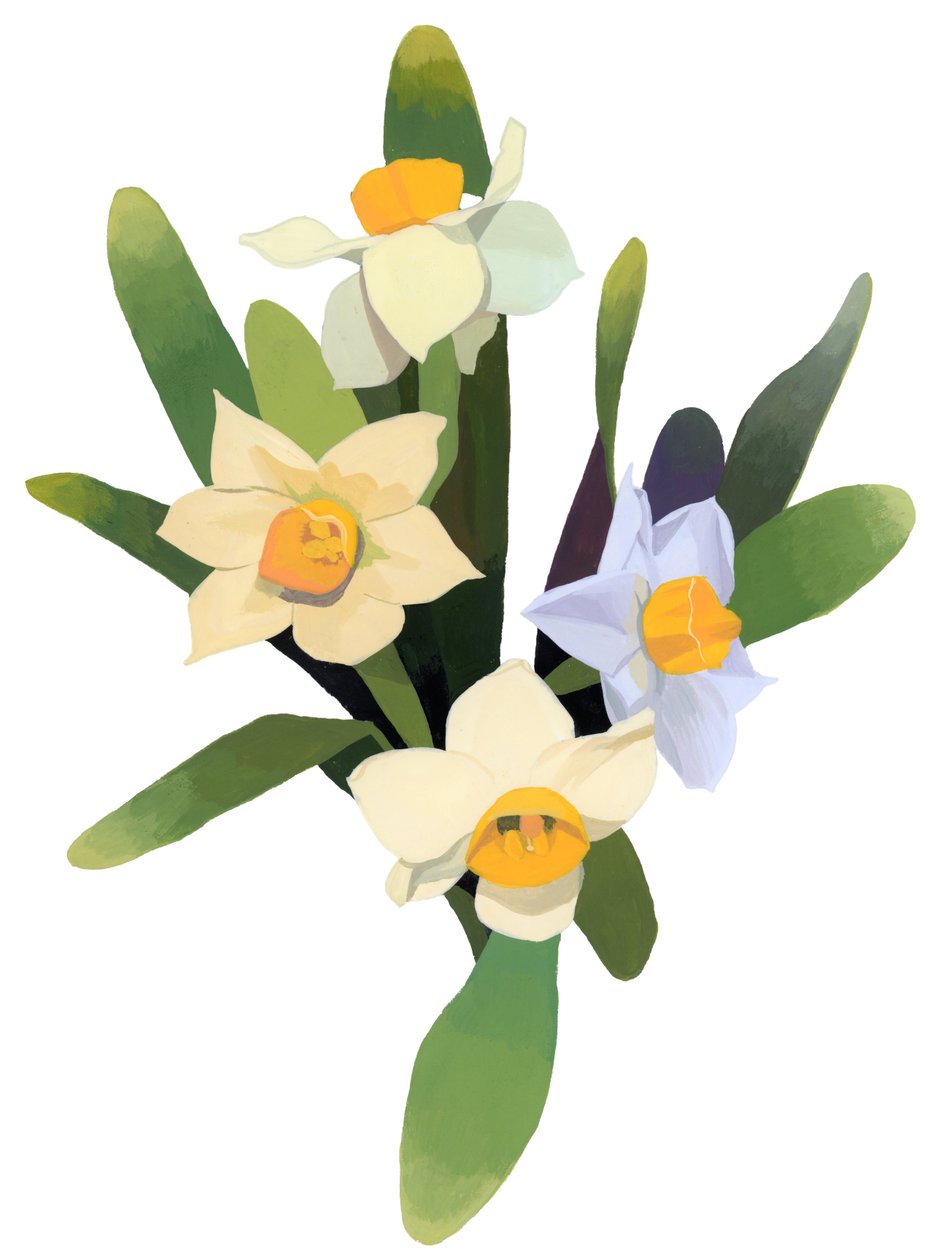 Narcissus af Hiroyuki Izutsu