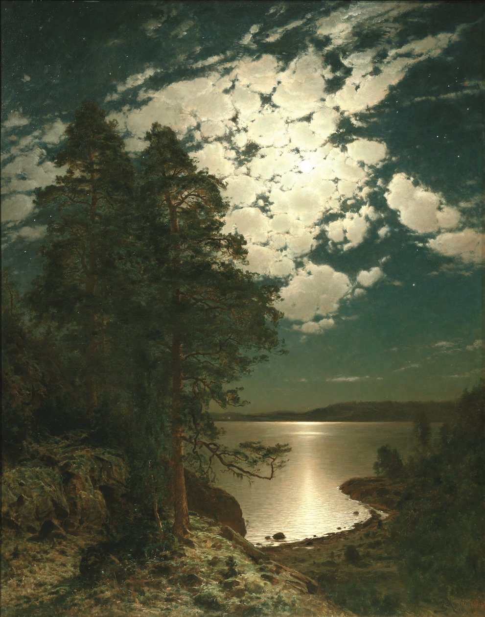 Måneskinnet nat af Hjalmar Munsterhjelm