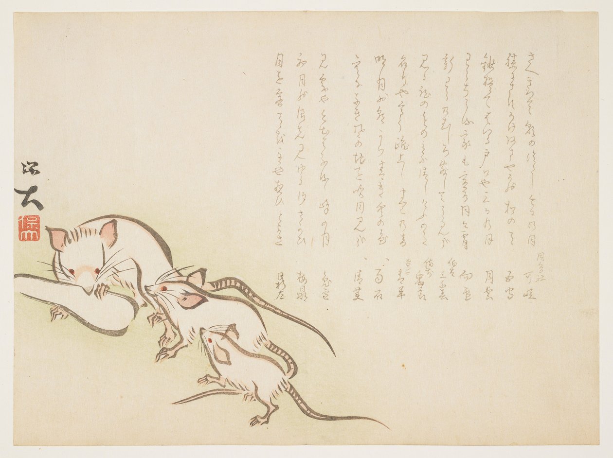 (Hvide mus), januar 1864 af Hodai