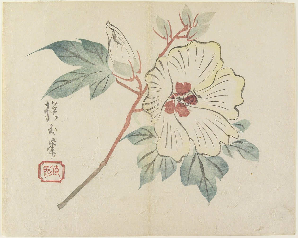 (Stor hvid blomst), ca. 1830 af Hogyoku