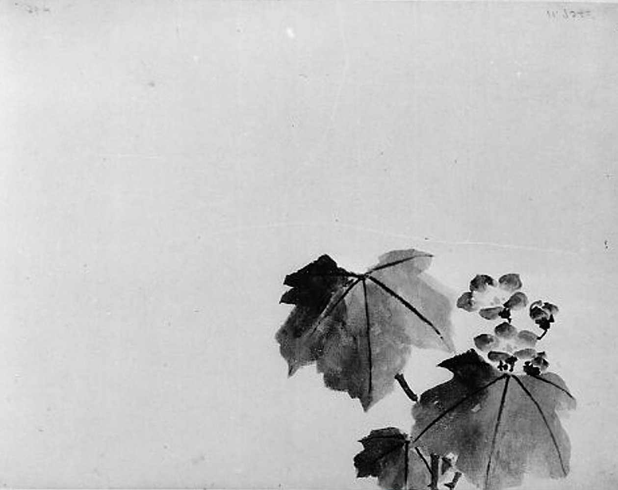 Klokkeblomst, 1800-tallet. af Hokusai School.