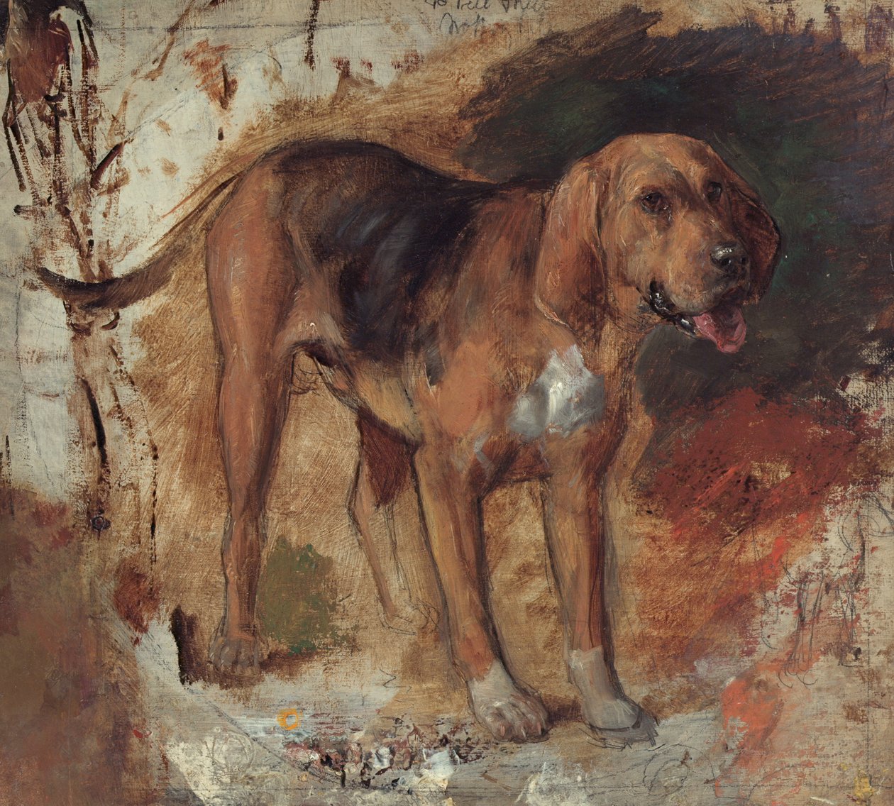 Undersøgelse af en blodhund af William Holman Hunt