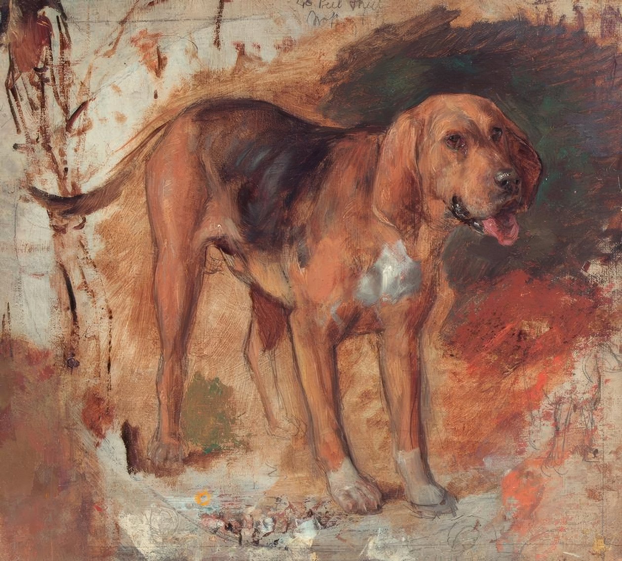 H.Hunt, Study of a Bloodhound af Holman Hunt