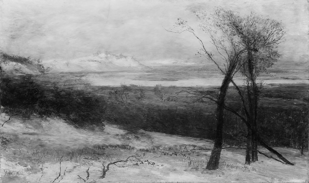 Behind Dunes, Lake Ontario, 1883-87. af Homer Dodge Martin