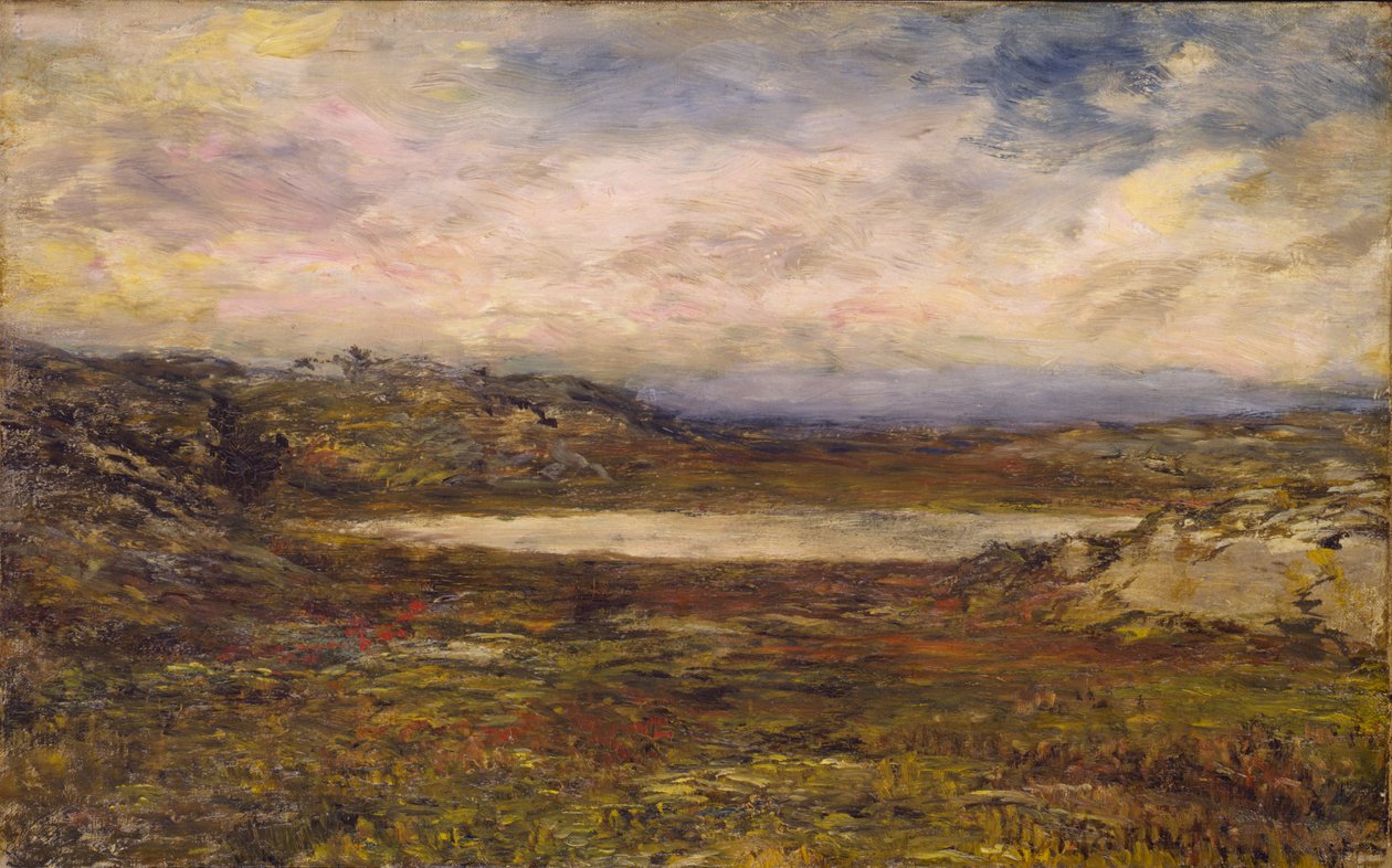 Wild Coast, Newport, ca. 1885-1895. af Homer Dodge Martin