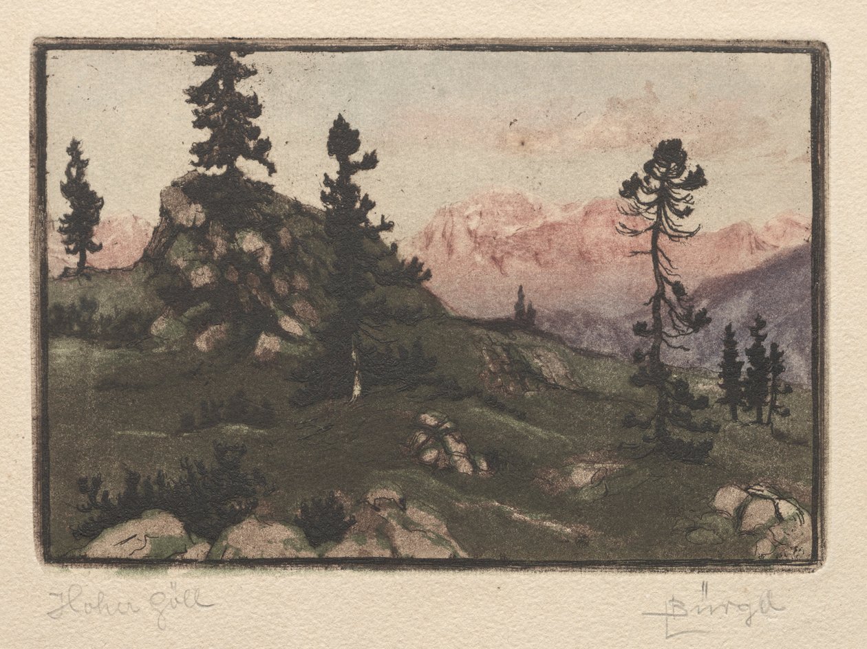 Høj Måge. af Hugo Burghel