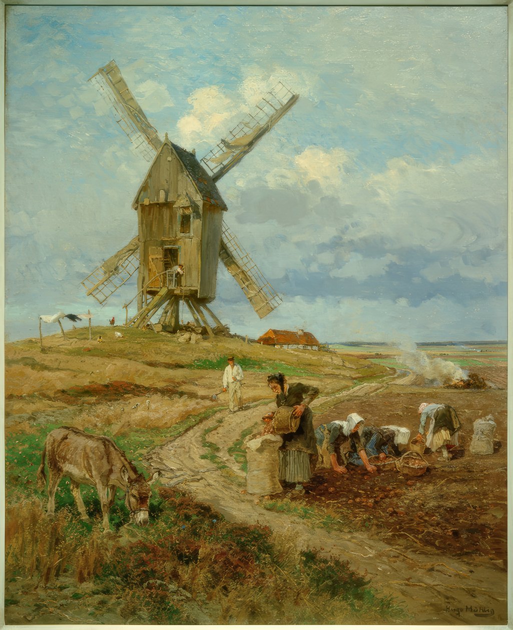 H.Mühlig, kartoffelhøst af Hugo Muhlig