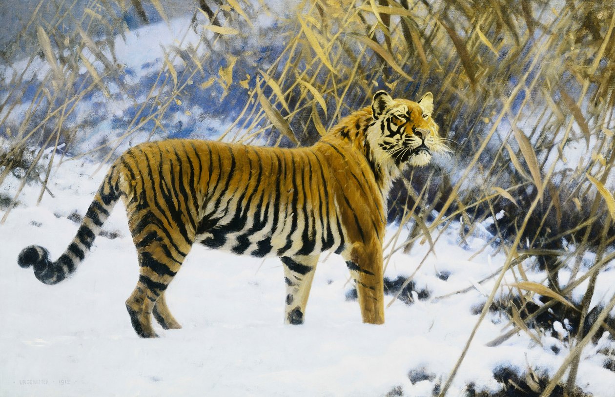 Tiger i et vinterlandskab af Hugo Ungewitter