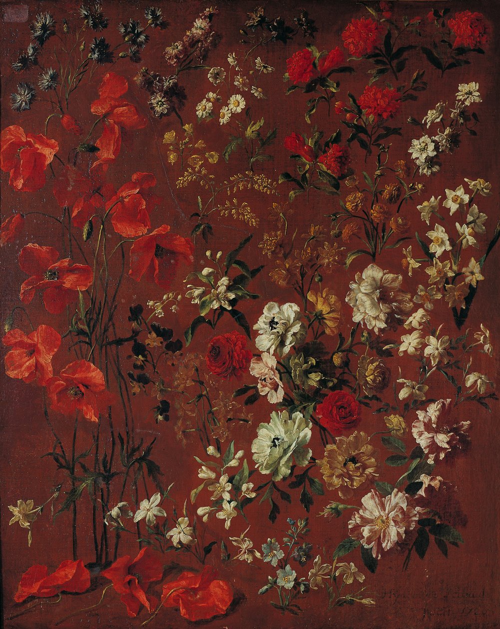Studie af blomster, 1720 af Hyacinthe Francois Rigaud